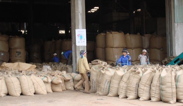 Việt Nam: Xuất khẩu cà phê tháng 11 giảm gần 19 %