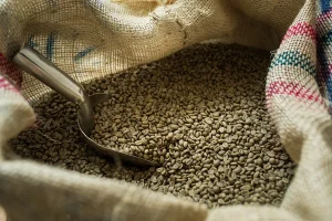 Arabica Slides To A 1-Year Low On An Improving Supply Outlook