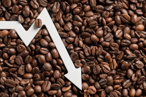 Coffee Futures Is 12% Down In The Last 21 Sessions