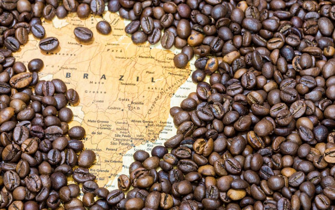 Arabica Coffee Brazilian Coffee Brazil For Business Group, 43% OFF