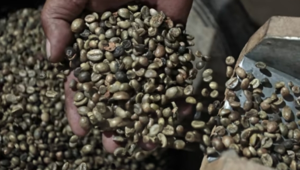 Arabica Coffee Rallies On A Stronger Brazilian Real