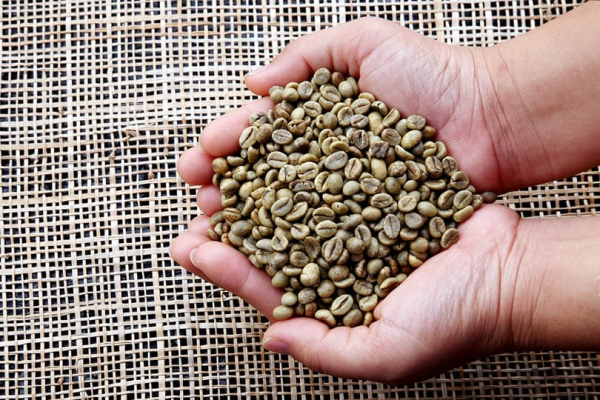 Giá cà phê xuất khẩu của Việt Nam giảm trở lại 