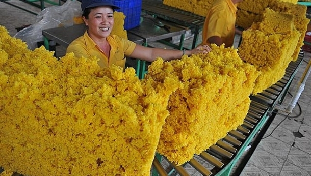 Việt Nam xếp thứ mấy trong thị phần cao su tại Hàn Quốc?