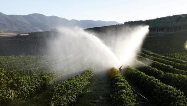 Vietnam to further promote its coffee in int’l market