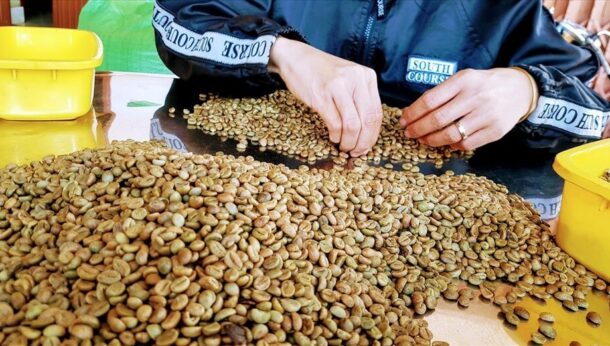 Coffee Prices Retreat As Supply Concerns Ease