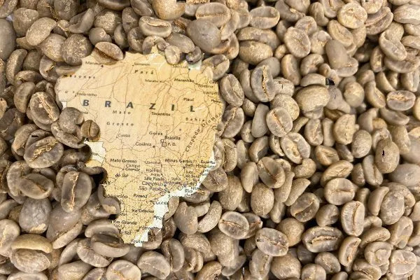Arabica Coffee Prices Supported By Supply Concerns