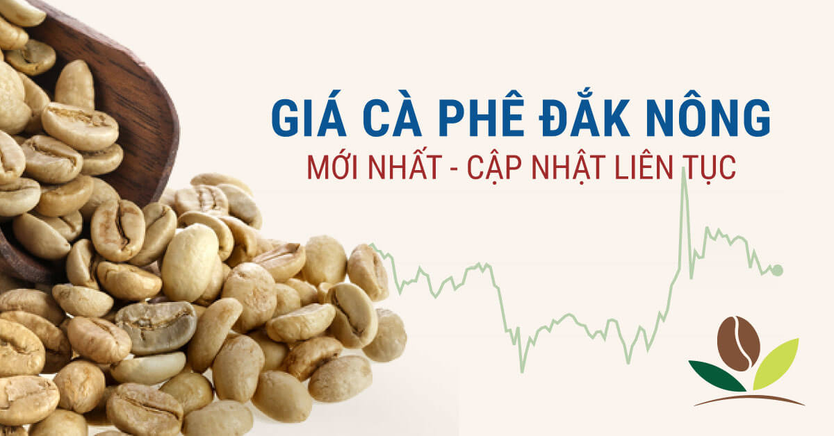 Giá cà phê Đắk Nông hôm nay 06/05/2025: 128,700đ/kg