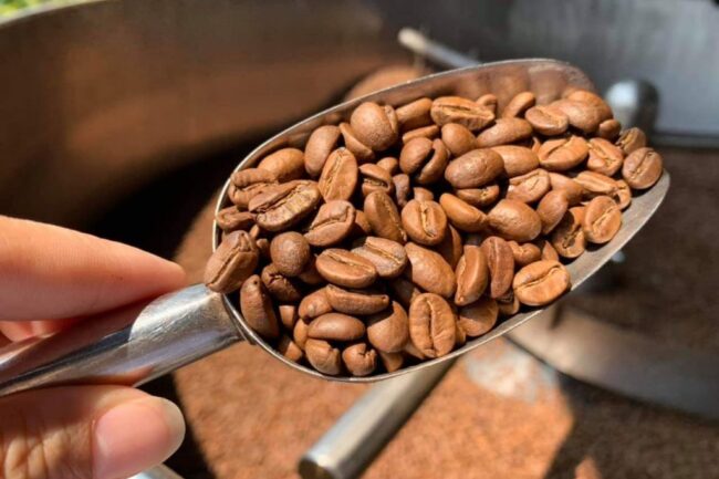 Coffee Falls As Dollar Strength Fuels Long Liquidation Pressure