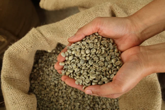 Giá xuất khẩu cà phê của Việt Nam đạt mức cao nhất kể từ tháng 11/2018
