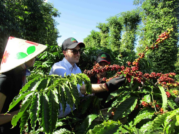 Xuất khẩu cà phê của Việt Nam ngày càng khẳng định được vị thế trên thế giới Ảnh: AN NA