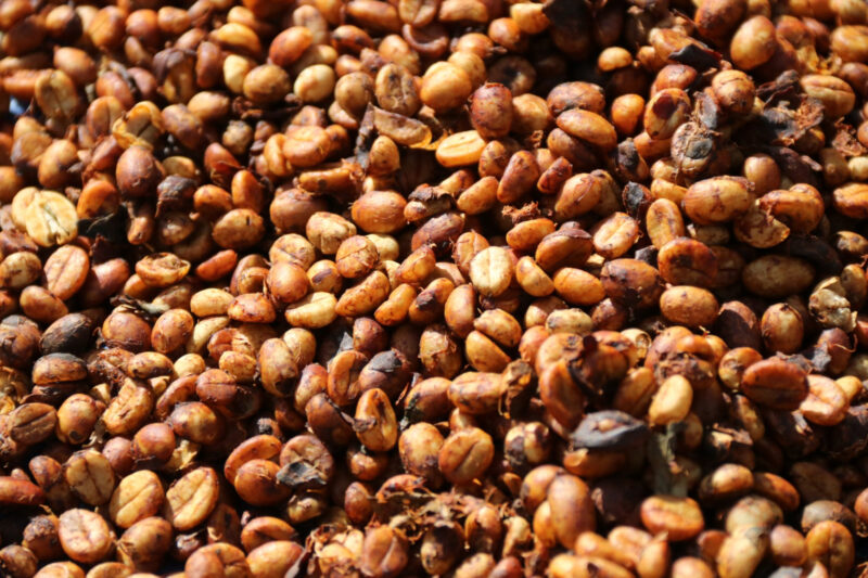 cà phê mật ong có giá 90.000 - 120.000 đồng/kg