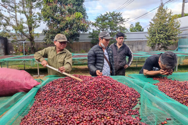Những người nông dân kỳ công nâng tầm giá trị hạt cà phê