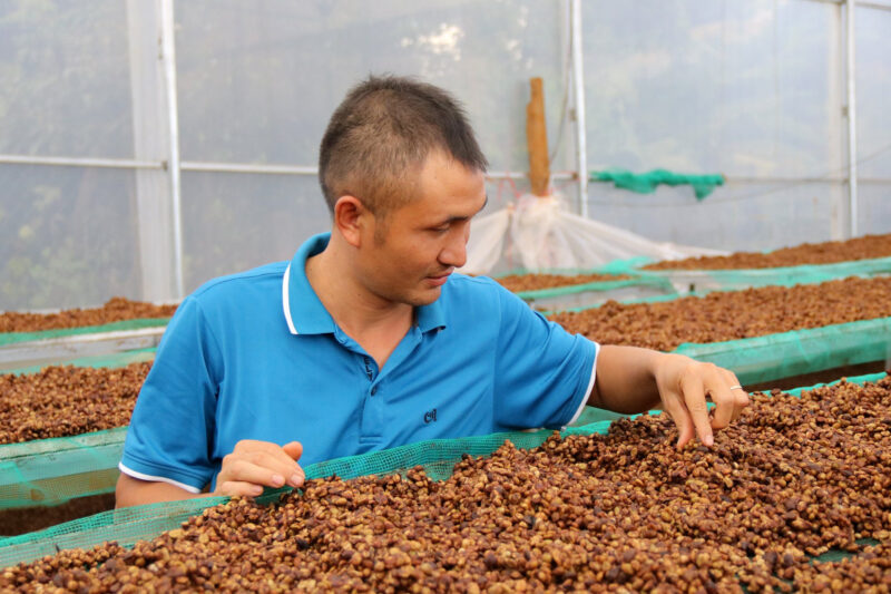Huyện Ia Grai đang xây dựng kế hoạch nhằm tạo ra những vùng trồng để sản xuất ra nhiều loại cà phê đặc sản, tạo ra chuỗi liên kết