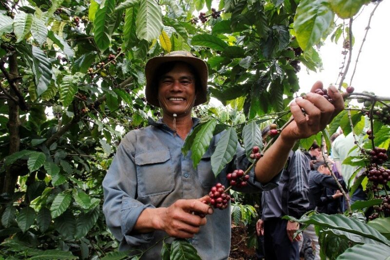 Việt Nam xuất khẩu gần 1,8 triệu tấn cà phê trong năm 2017