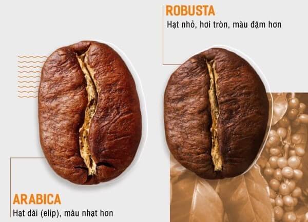 Cách nhận biết hương vị cà phê robusta nguyên bản