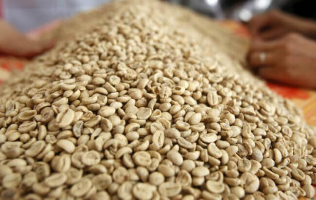 Coffee Prices Fall On Economic Gloom And Favorable Brazilian Weather