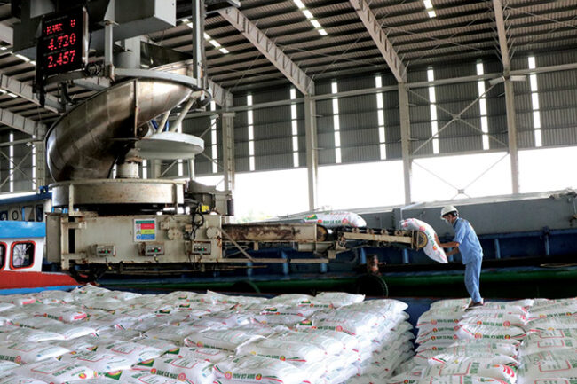 Kim ngạch xuất khẩu phân bón giảm mạnh 5 tháng đầu năm