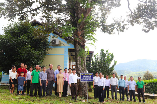 Chiêm ngưỡng cây sầu riêng cổ thụ hơn 100 tuổi ở Đạ Huoai