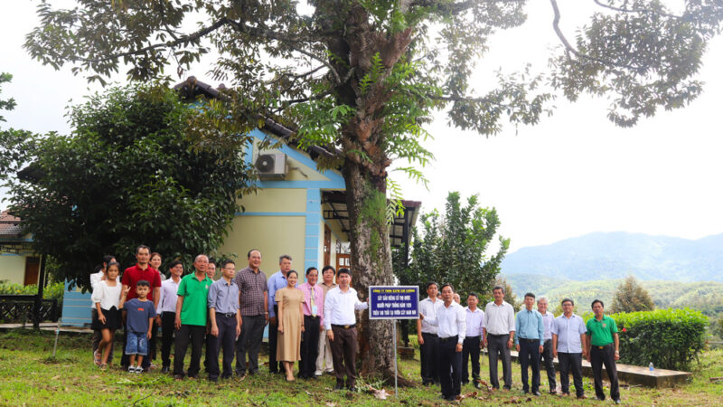 Lãnh đạo huyện Đạ Huoai cắm biển ghi nhớ lịch sử tại cây sầu riêng cổ thụ hơn 100 tuổi ở vườn trái cây Nam Nhi
