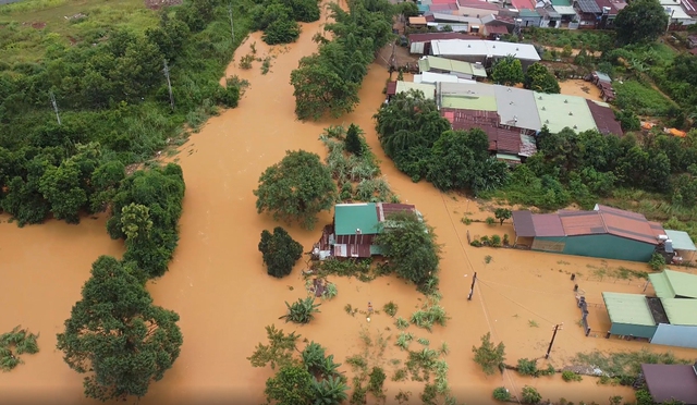 Đắk Nông: Hàng chục héc ta cà phê ngập lụt ở Gia Nghĩa