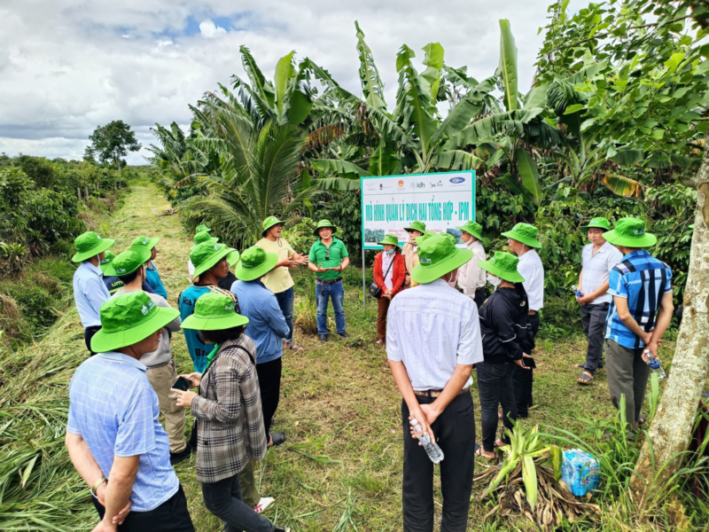 Mô hình trồng cà phê cảnh quan với vườn sinh thái 3 tầng của ông Đinh Văn Đông, xã Hoà Bắc, huyện Di Linh, tỉnh Lâm Đồng.
