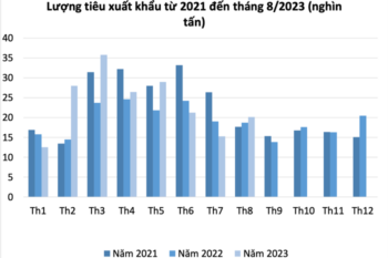 Dự báo xuất khẩu hồ tiêu vẫn duy trì ở mức thấp trong quý IV/2023
