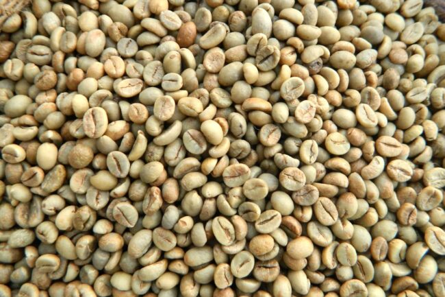 Giá cà phê ngày 05/09/2023: Robusta tăng nhẹ khi giao dịch một mình