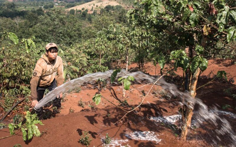 Tài nguyên nước là yếu tố then chốt tạo nên thành công của ngành cà phê Việt Nam. Nhưng thực tế cho thấy nước ít được quan tâm để sử dụng một cách tiết kiệm hiệu quả