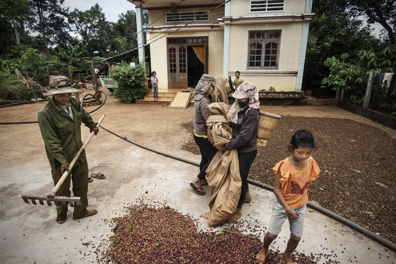 Từ những năm 1980, năng suất từ ​​hệ thống nông xã tuột dốc, nên nhà nước ta đã bắt đầu một lộ trình bãi bỏ quy định từng bước và tự do hóa ngành cà phê