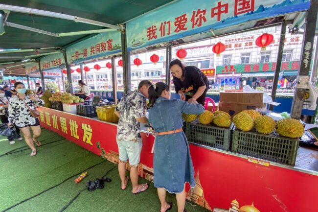 Malaysia sắp thâm nhập thị trường sầu riêng tươi Trung Quốc