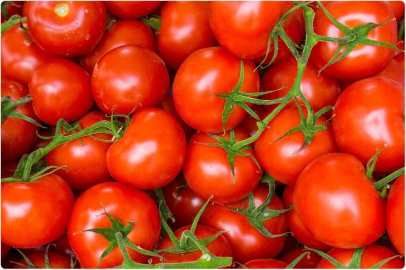 Nhiều nghiên cứu đã chứng minh đặc tính chống ung thư của cà chua (Ảnh: Shutter stock).
