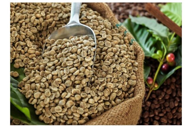 Xuất khẩu thứ 2 thế giới, Việt Nam vẫn chi hàng trăm triệu đô nhập cà phê