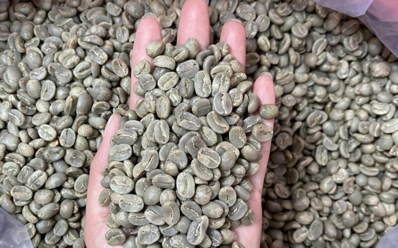 Giá cà phê arabica tăng mạnh đã thúc đẩy giá cà phê robusta giao ngay tại London hai tuần qua tăng hơn 2%, ngày 3/10 đạt 1.880 USD/tấn.