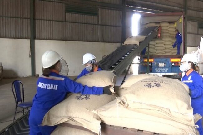 Giá cà phê tăng cao, doanh nghiệp giảm lượng hàng xuất khẩu