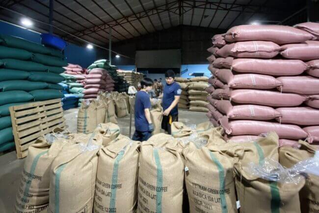 Giá cà phê khu vực Tây Nguyên đã cán mốc 100.000 đồng/ký
