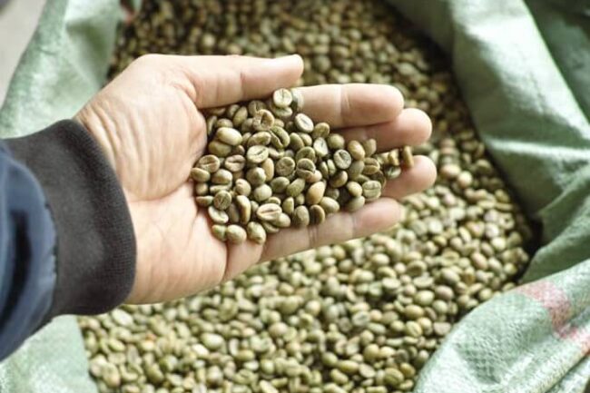 Giá cà phê xuất khẩu tiếp tục giảm do thừa cung (ngày 04/10/2004)