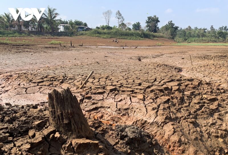 Hiện 31 trong số 307 công trình thủy lợi tại Đắk Nông đã hết nước. Các hồ còn lại lượng nước chỉ còn chừng 40% và đang giảm nhanh