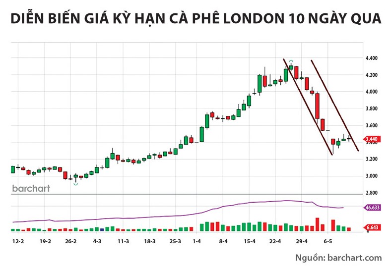 Diễn biến giá cà phê Robusta kỳ hạn 