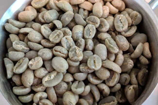 Giá cà phê ngày 02/7/2024 – Robusta phục hồi từ mức thấp, xuất khẩu Việt Nam giảm