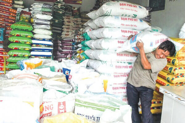Giá phân bón giảm mạnh, nông dân bớt “gánh nặng”