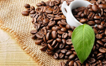 Tổng hợp thị trường cà phê tuần thứ 37 ( từ 08 đến 14/09/2025)