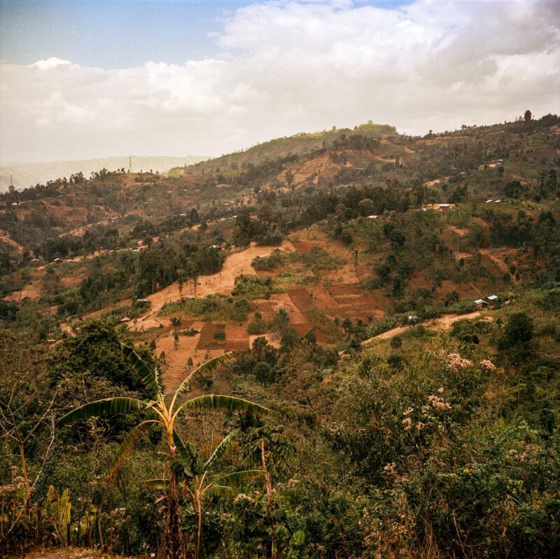 Ethiopia được nhiều người coi là nơi sinh ra của cà phê Arabica, nơi canh tác cà phê đã được thực hành và hoàn thiện trong nhiều thế kỷ – Ảnh: Rena Effendi từ nationalgeographic