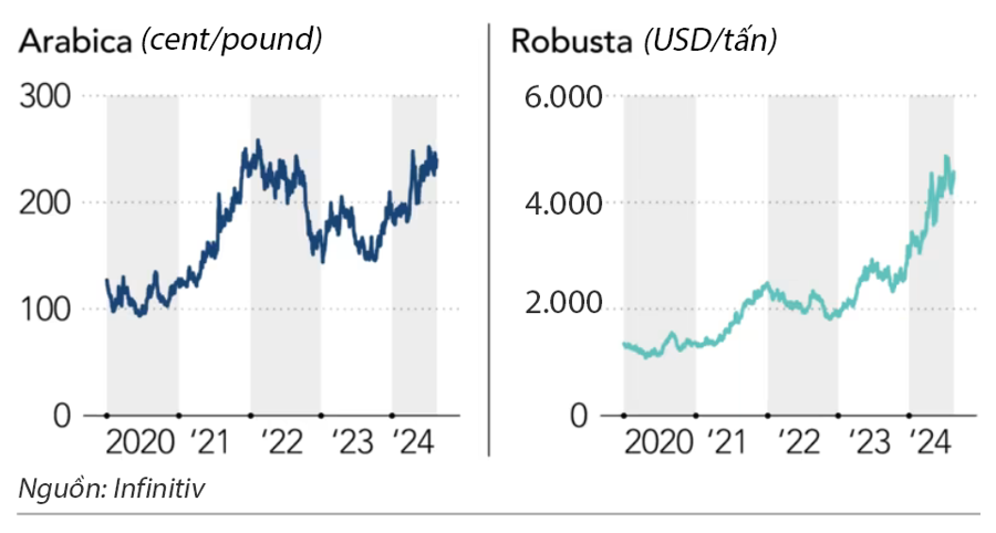 Giá cà phê kỳ hạn trên các sàn giao dịch thế giới đang tăng rất mạnh