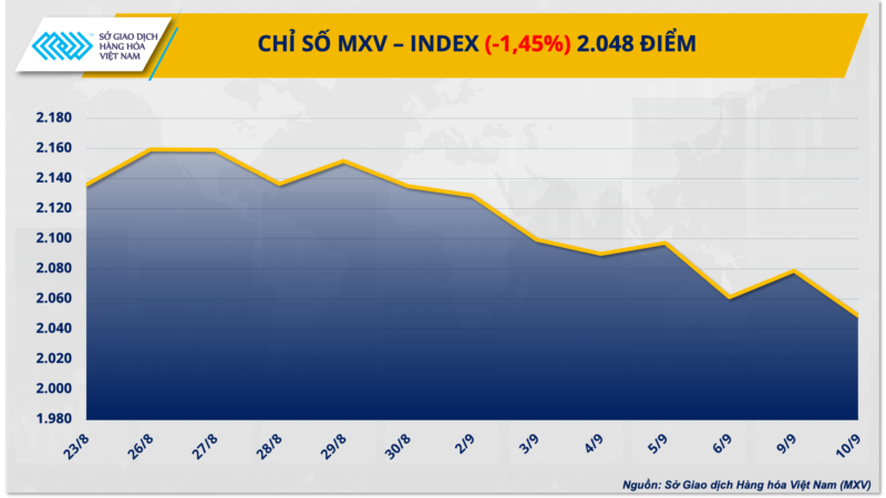 chỉ số MXV ngày 11 09 2024