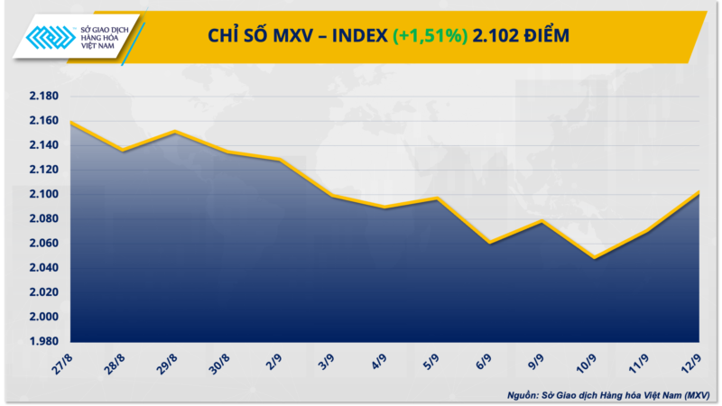 chỉ số mxv ngày 13/09/2024