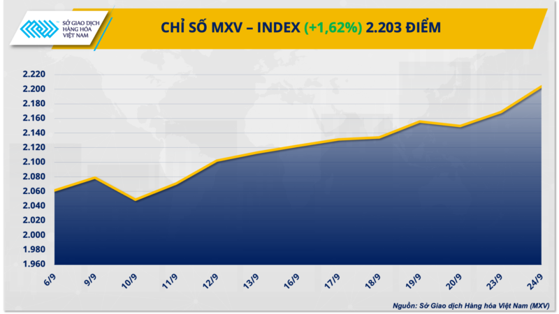 Chỉ số MXC index