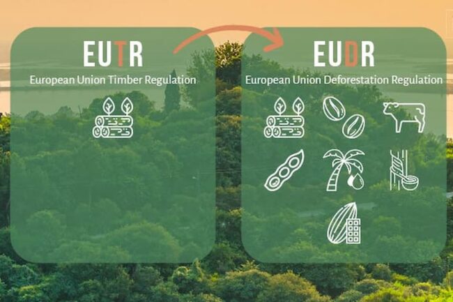 Tìm hiểu quy định chống phá rừng của Liên minh châu Âu – EUDR