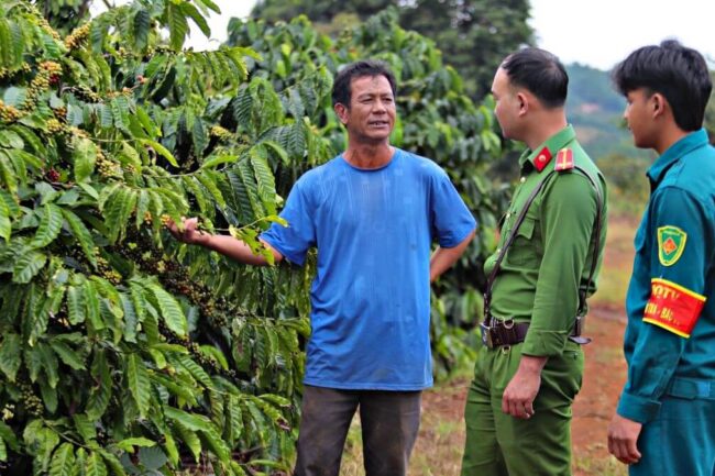 Chủ động phòng ngừa, ngăn chặn tình trạng trộm cắp cà phê