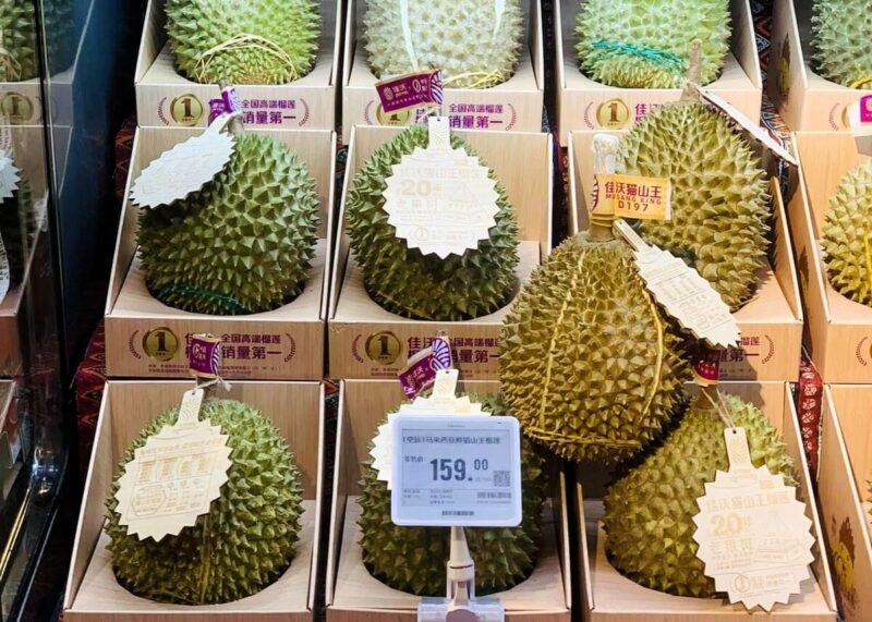 durian musang king malaysia