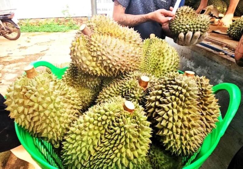 Durian soaked in medicine